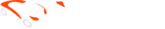 auto test